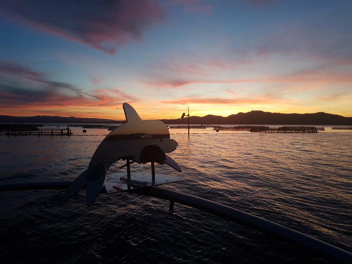 Appartamento Delfini Sul Mare Golfo Aranci Dış mekan fotoğraf